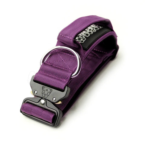 2" Tactik Dog Collar-Grape