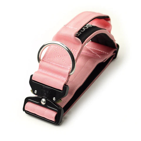 2" Tactik Dog Collar-Rose