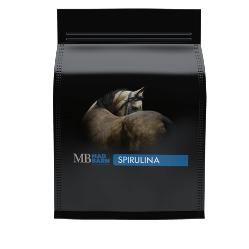 Spirulina 1kg