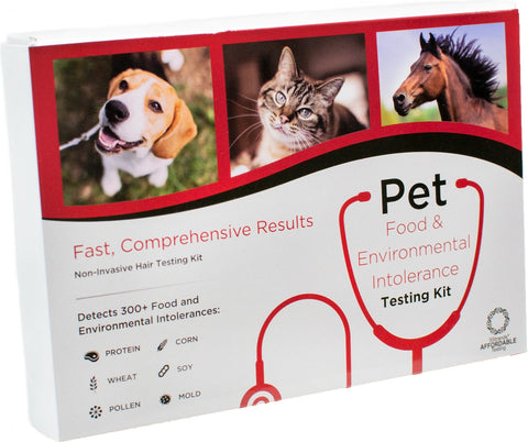 5 Strand Pet Food & Environmental Intolerance Testing Kit