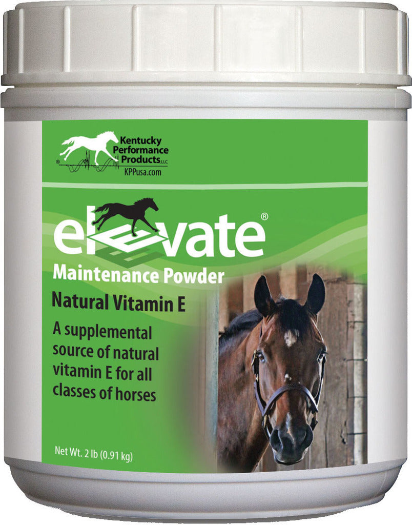 Elevate Maintenance Powder