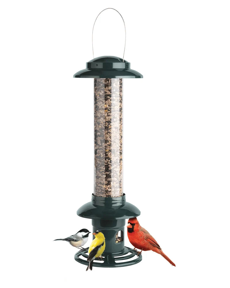 Bird Feeder