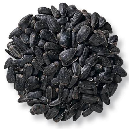 Black Oil Sunflower Seed