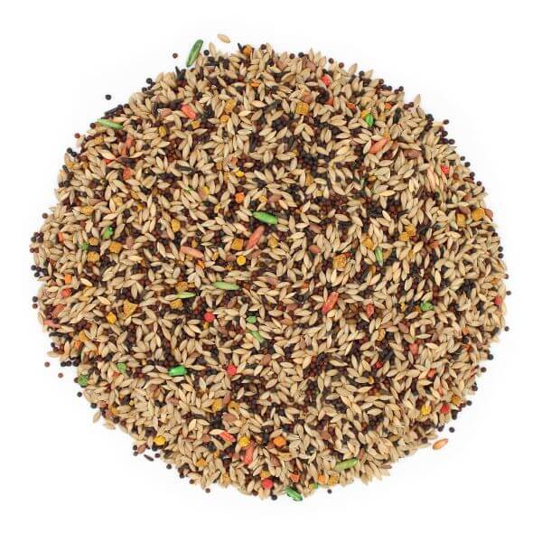 Canary Seed