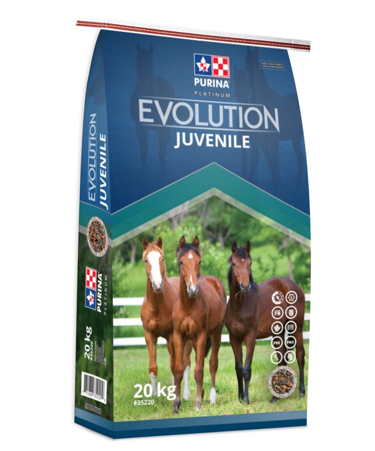 Evolution Juvenile