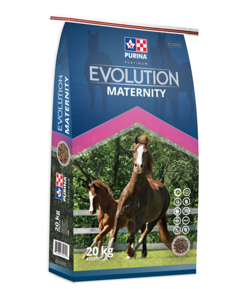 Evolution Maternity