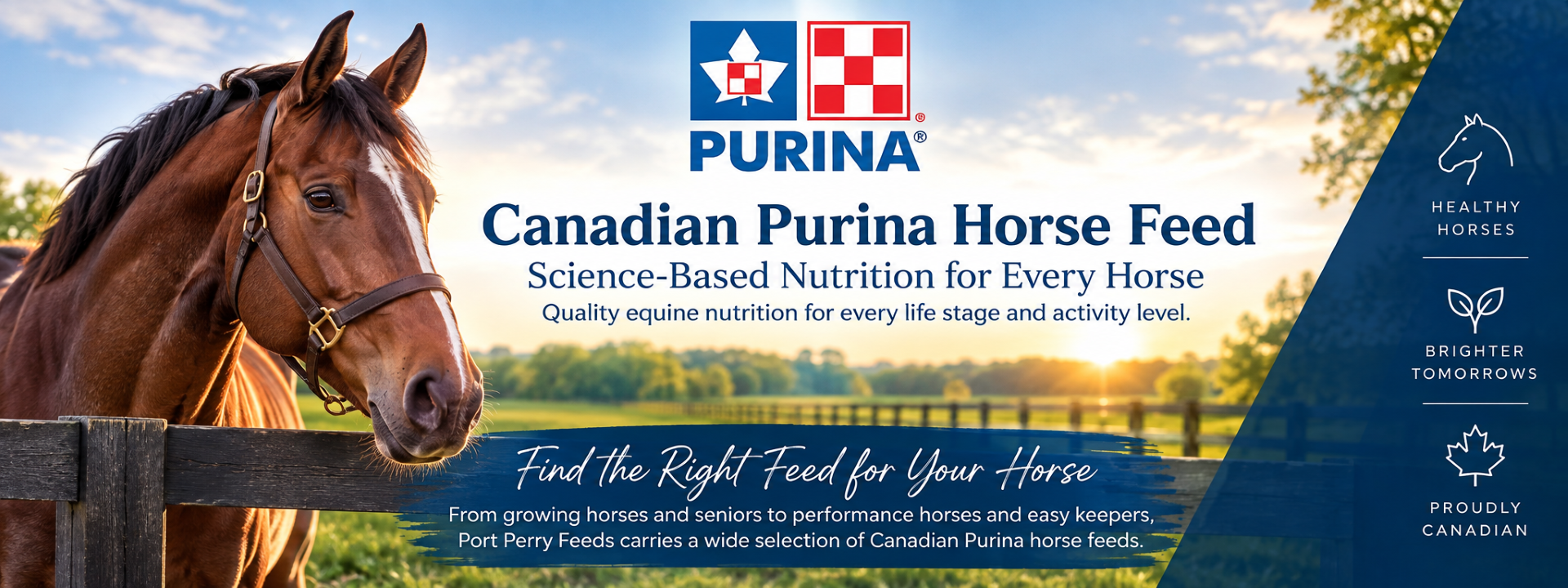 Canadian Purina Horse Feed