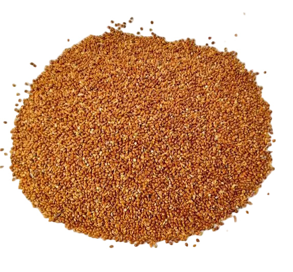 Red Millet