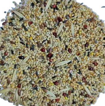 Budgie Mix