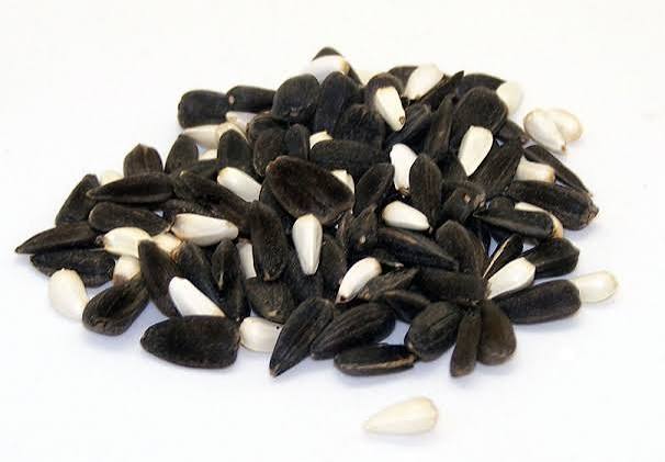 Cardinal Blend Seed