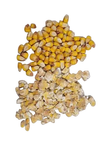 Cracked and Rolled Corn